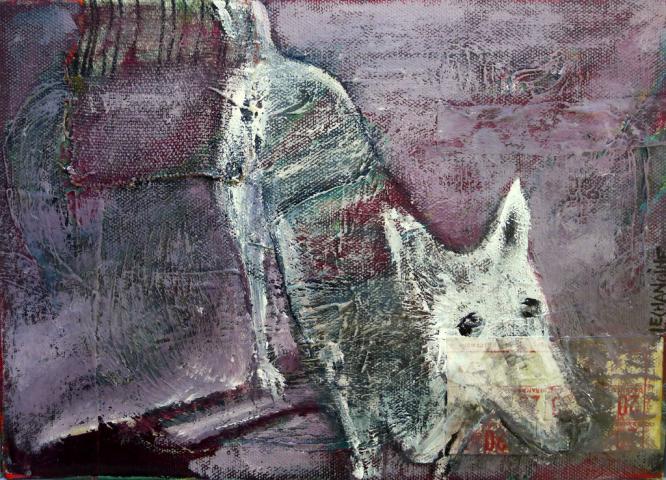 loup blanc