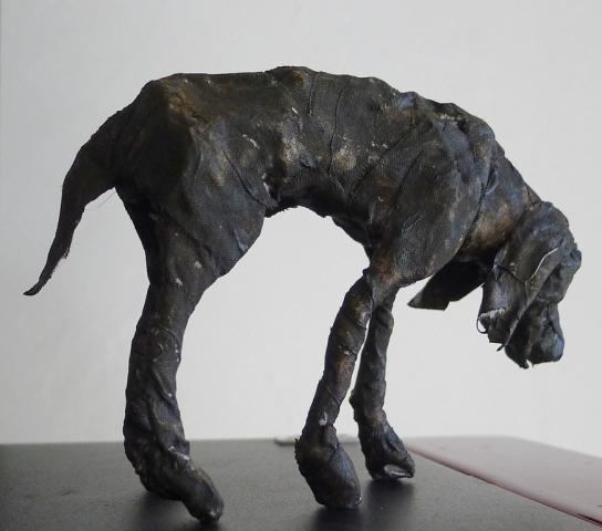 vieux chien