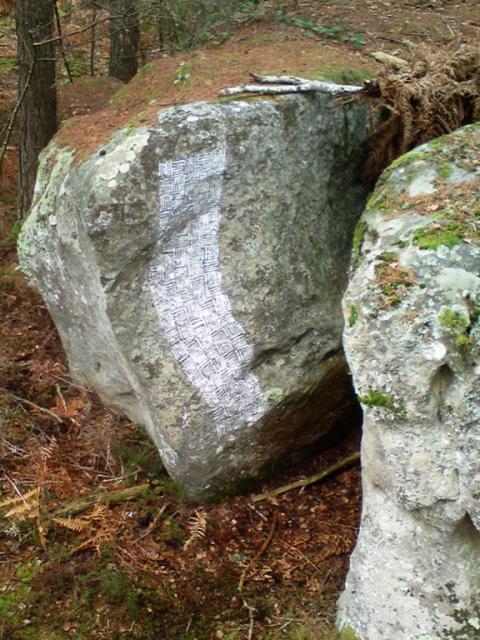 Forêt de Fontainebleau 