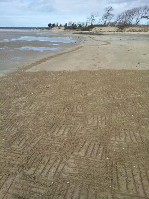 Traits dans la baie du Mont Saint-Michel